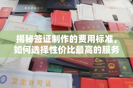 北川揭秘签证制作的费用标准，如何选择性价比最高的服务？